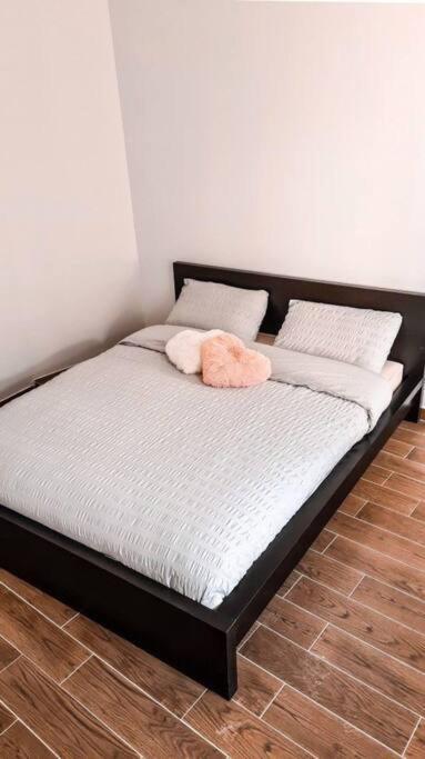 Apartament Douce Fragrance 4 Couchages Wifi Grasse Zewnętrze zdjęcie
